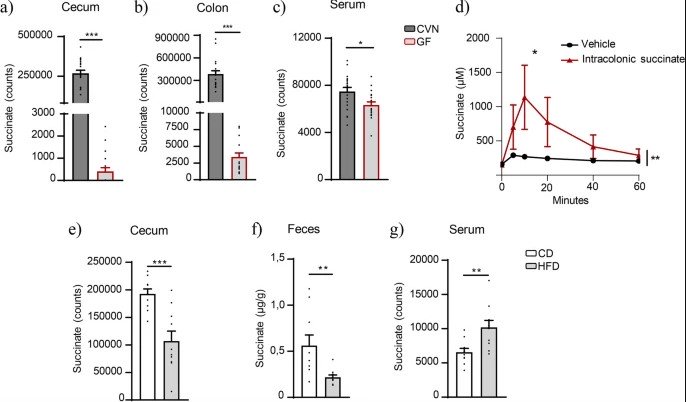 Orally administered Odoribacter laneus improves glucose control and inflammatory profile in obese mice by depleting circulating succinate